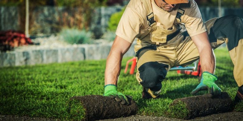 landscaping services
