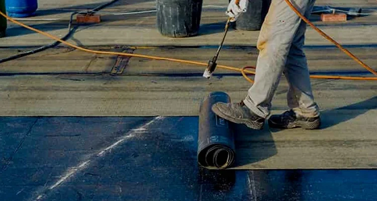 Professional Waterproofing